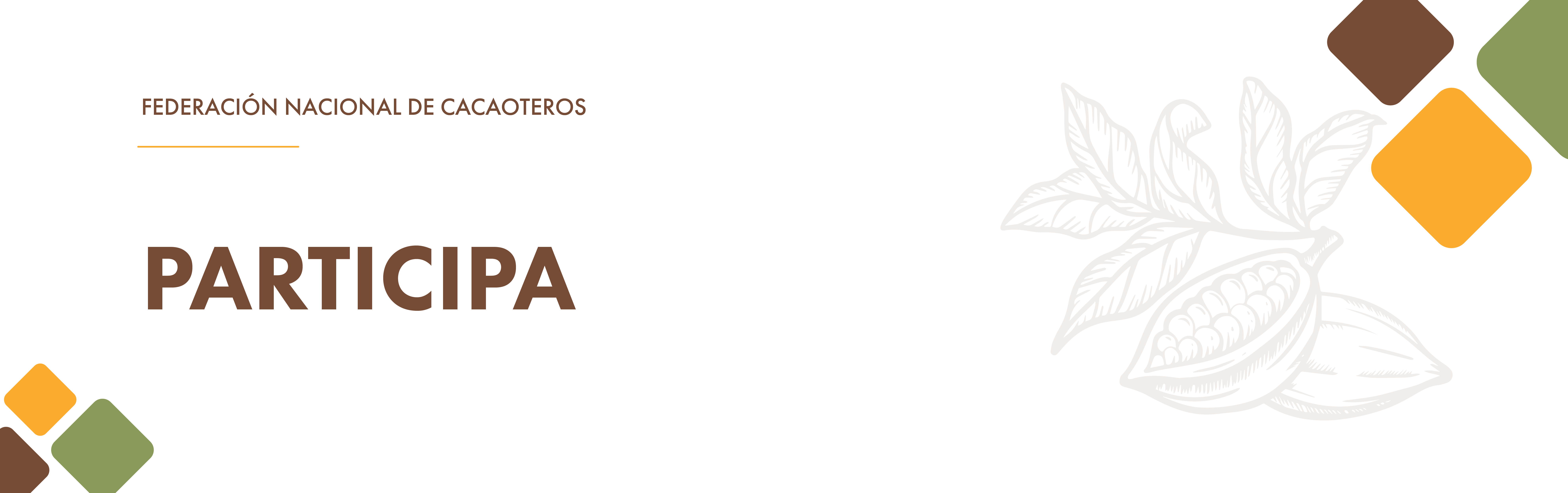 Participa