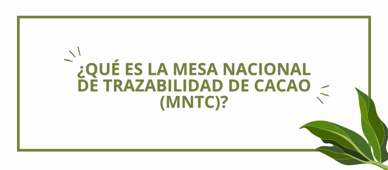 ¿Qué es la Mesa Nacional de Trazabilidad de Cacao (MNTC)?
