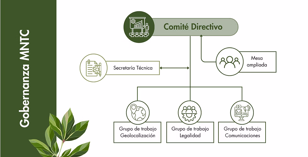 Diagrama de gobernanza de la Mesa Nacional de Trazabilidad de Cacao