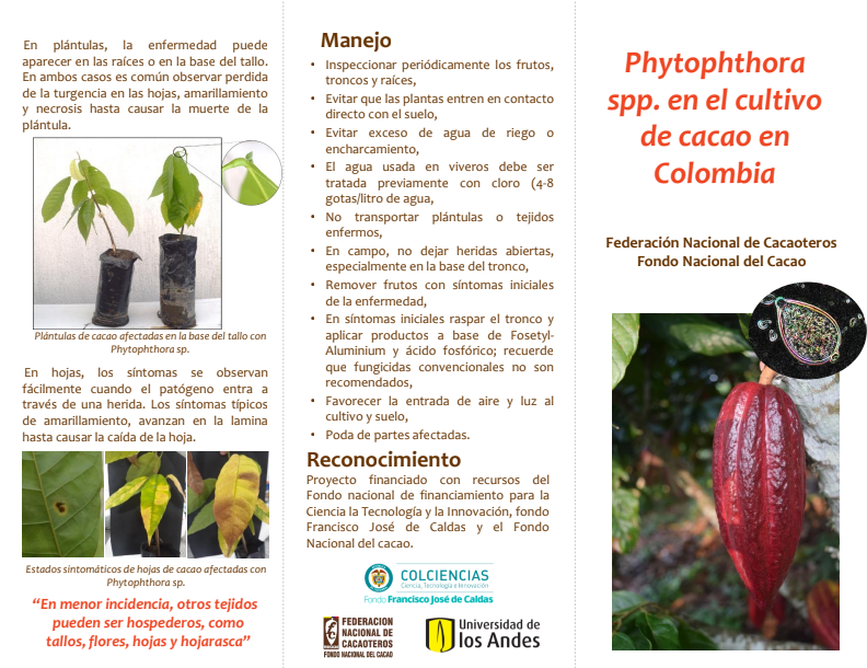 Portada de Phytophthora spp en el cultivo de cacao en Colombia.